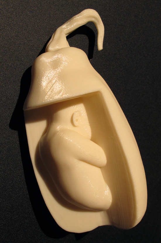 Squash Baby by Derek Watts