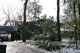 img_0451
