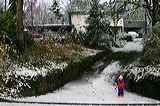 img_0458