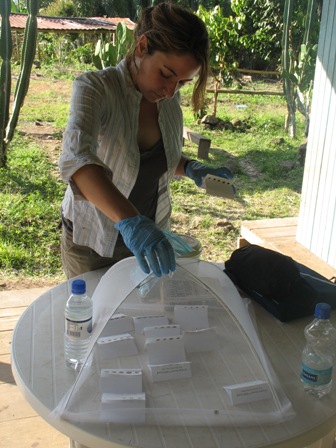 Felicia: blood spots for analysis of health biomarkers. Photo: Liebert 2009.
