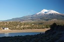 IMG_0318
