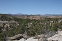 IMG 0332