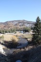 IMG 0354