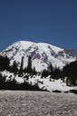 IMG_0960