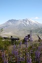 IMG_1254