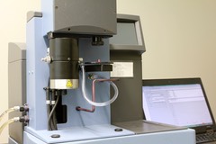 IMG 4429