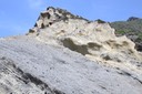 IMG_8366