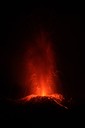 IMG_8478