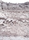 P1000063