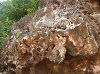 P1080881