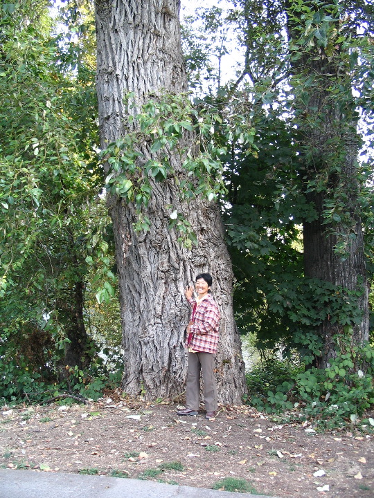 IMG_2665.JPG