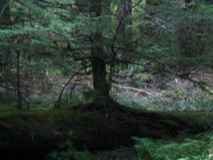 IMG_2684.JPG