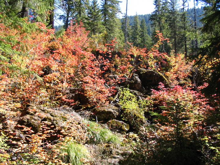 IMG_2693.JPG