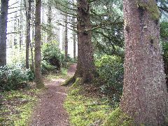 IMG_2636.JPG
