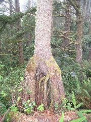 IMG_2638.JPG