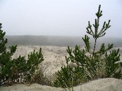 IMG_2647.JPG