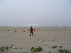 IMG_2650.JPG