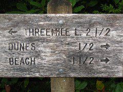 IMG_2656.JPG