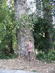 IMG_2665.JPG