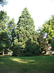 IMG_2668.JPG