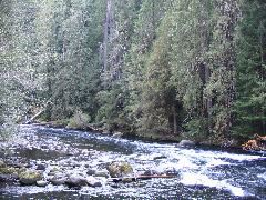 IMG_2679.JPG