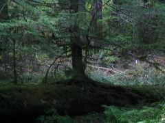 IMG_2684.JPG
