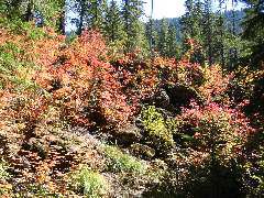 IMG_2693.JPG