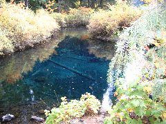 IMG_2699.JPG