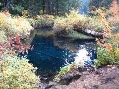 IMG_2700.JPG