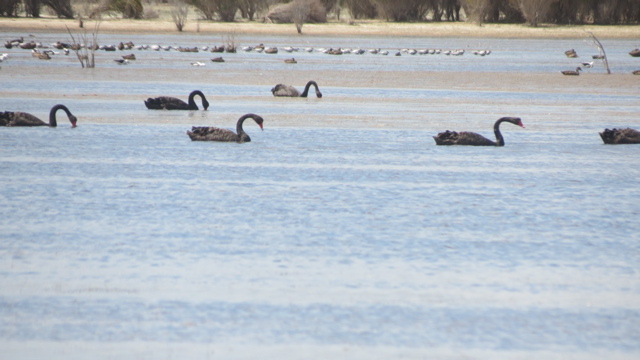 2015-11-20 11.28.13