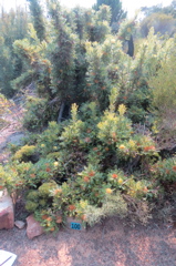 2015-11-18 10.28.39