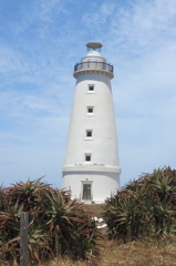 2015-11-19 12.53.15
