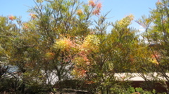 2015-11-24 11.48.32