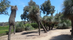 2015-11-24 13.49.30