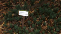 2015-11-25 12.29.28