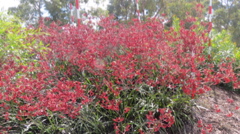 2015-11-24 10.35.25