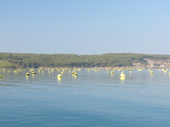 2016-08-29 00.34.21