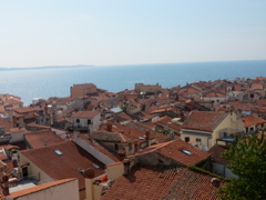 2016-08-29 06.00.53