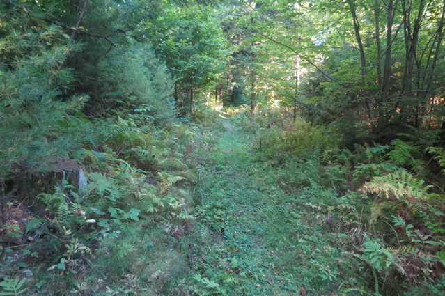 2015-09-27 12.32.14