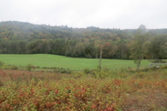2015-09-29 06.25.11