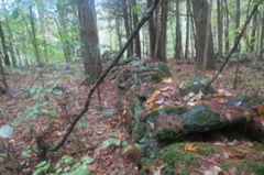 2015-09-29 07.06.40