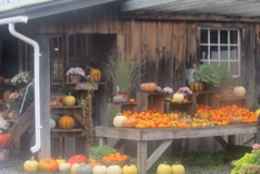 2015-09-29 07.53.56B