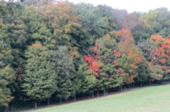 2015-10-02 07.55.01