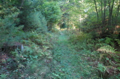2015-09-27 12.32.14