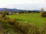 (M)George's Farm