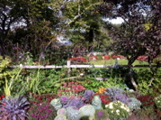 (P)Trapp Family garden