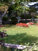 (Q)Trapp Family cemetery
