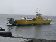 IMG_2004.JPG