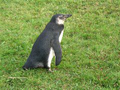IMG_2039.JPG
