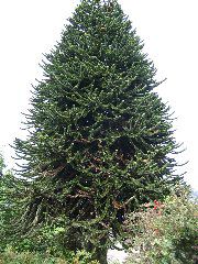 IMG_2045.JPG
